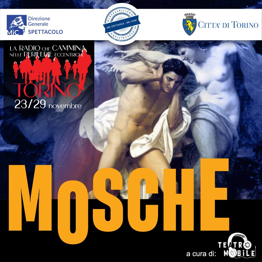 28 novembre mosche s